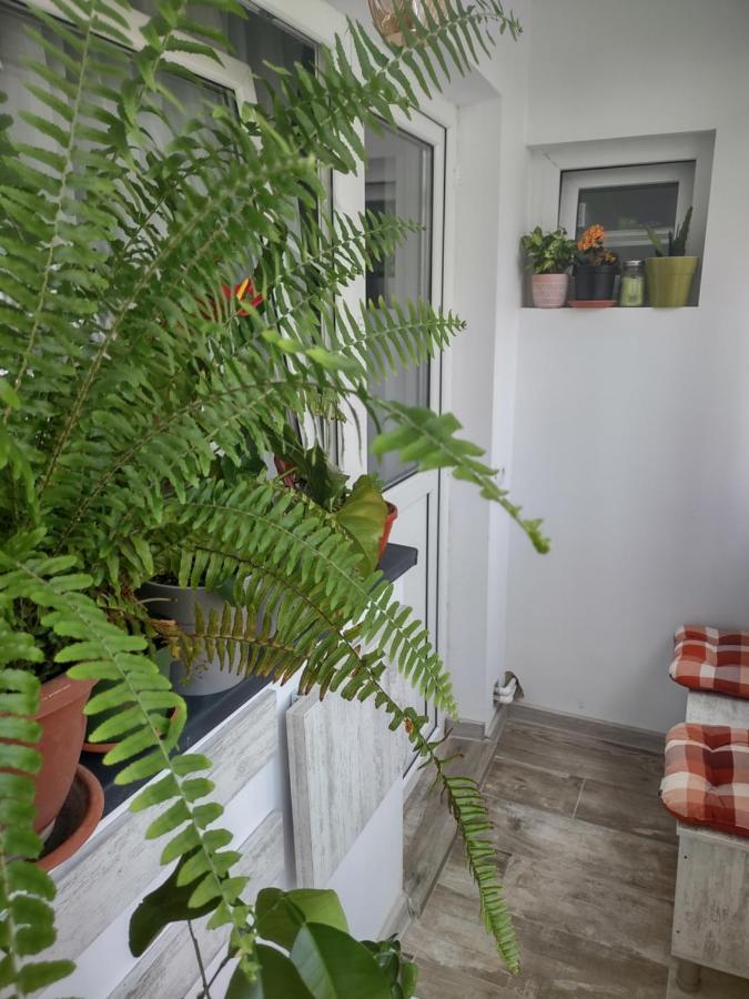 Apartament Питешти Экстерьер фото